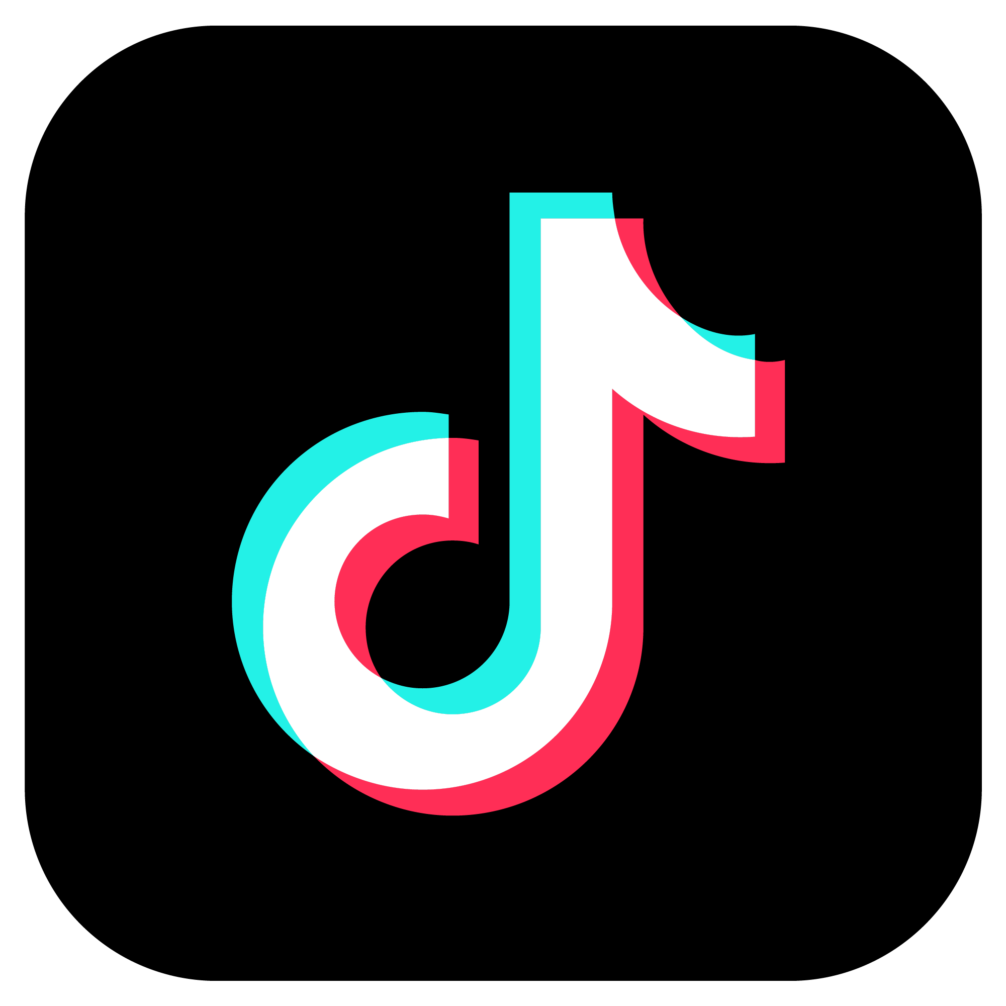 TikTok @ [User]